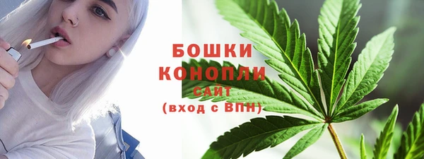 spice Гусиноозёрск