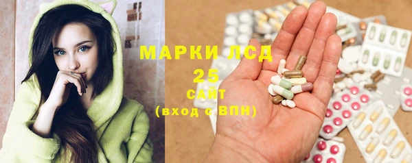 spice Гусиноозёрск