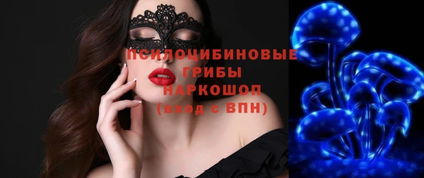 спайс Гусь-Хрустальный