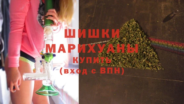spice Гусиноозёрск