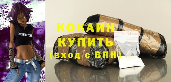spice Гусиноозёрск
