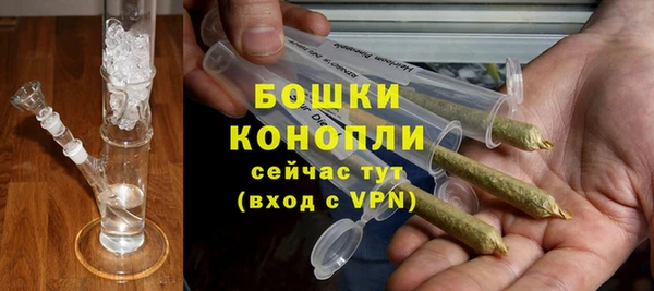 спайс Гусь-Хрустальный
