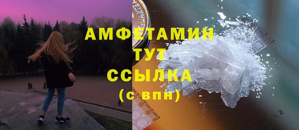 спайс Гусь-Хрустальный