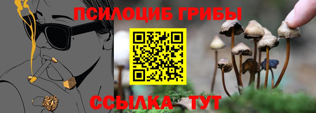Донской  где купить наркоту  Вход с VPN  Псилоцибиновые грибы Psilocybe 